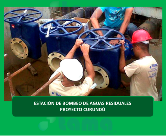 Proyecto 6