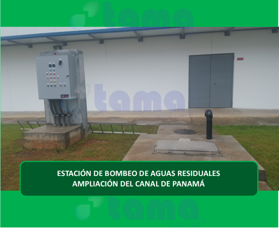 Proyecto 7